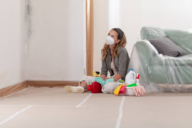 Reliable Mold Remediation contractor in Lignum, VA by WQB Mold Removal